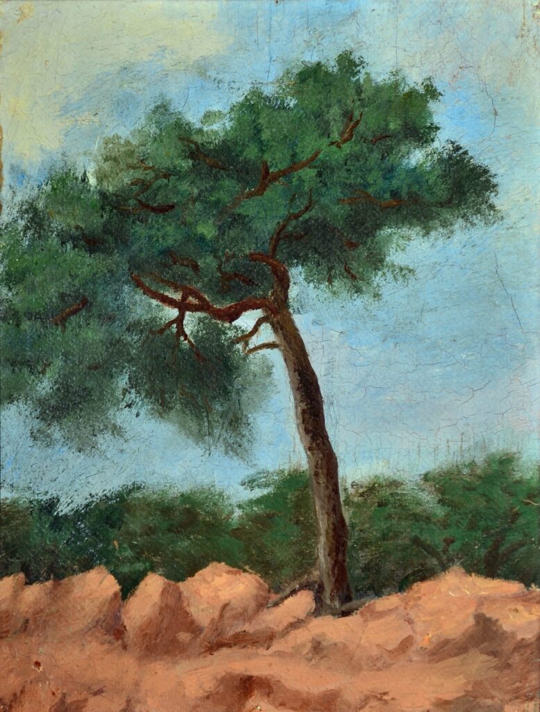 The Pine, 1873 by August Strindberg reflects the resilience and solitude of nature.